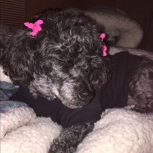 Meet your Posher, Queen of Too Much!